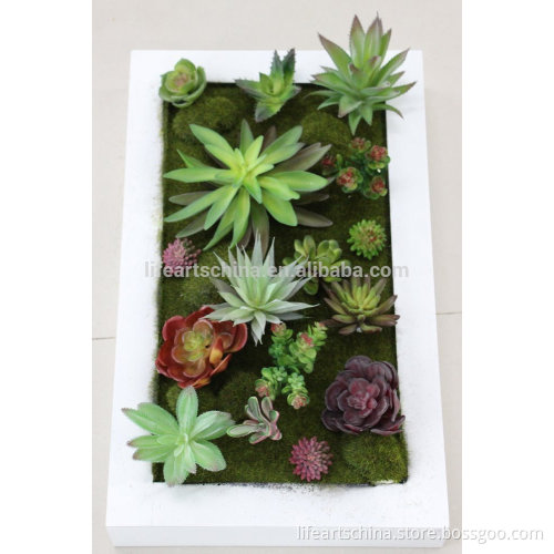 assorted succulent plants, green wall decoration